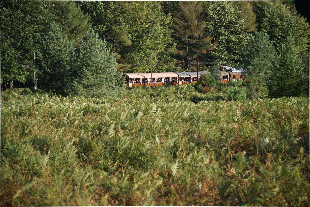 TRAIN DE LA RHUNE_SEP2018_7028